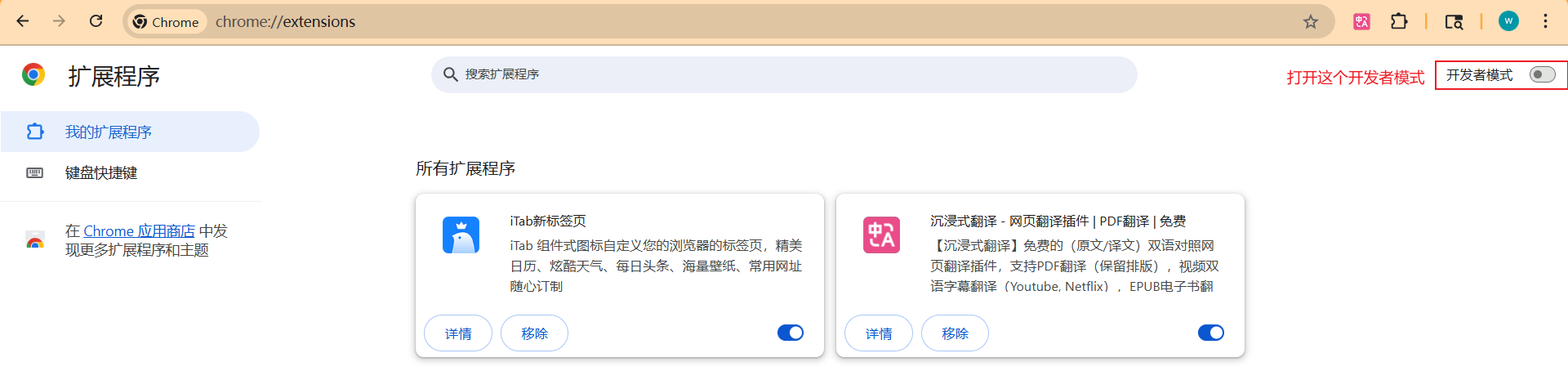 开发者模式开关页面截图